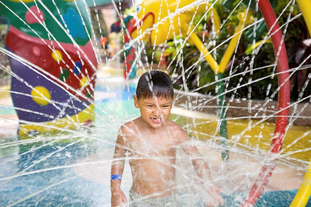Hilton Garden Inn Houston/The Woodlands Ανέσεις φωτογραφία